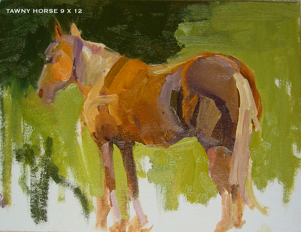 Tawny Horse - 9 x 12