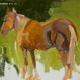 Tawny Horse - 9 x 12