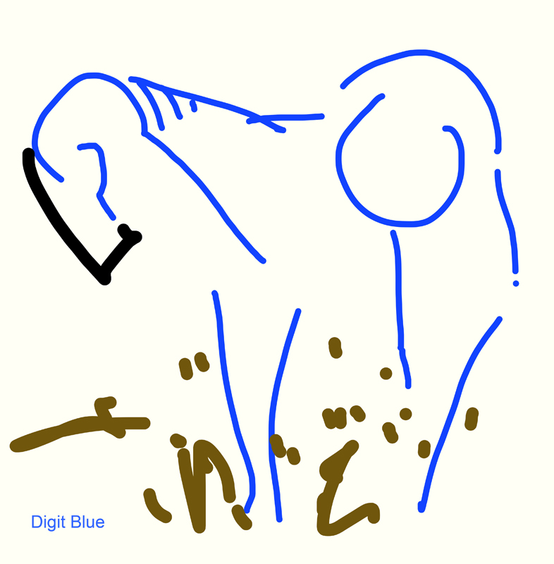 Digit Horse Blue